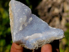 Natural Blue Lace Agate Specimens x 24 From Nsanje, Malawi - Toprock Gemstones and Minerals 
