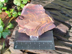 Natural Nguni Jasper Cobbed Specimens x 12 From Northern Cape, South Africa - Toprock Gemstones and Minerals 