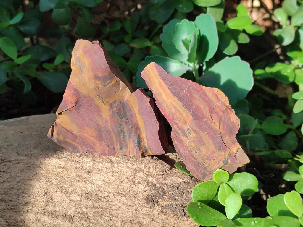 Natural Nguni Jasper Cobbed Specimens x 12 From Northern Cape, South Africa - Toprock Gemstones and Minerals 