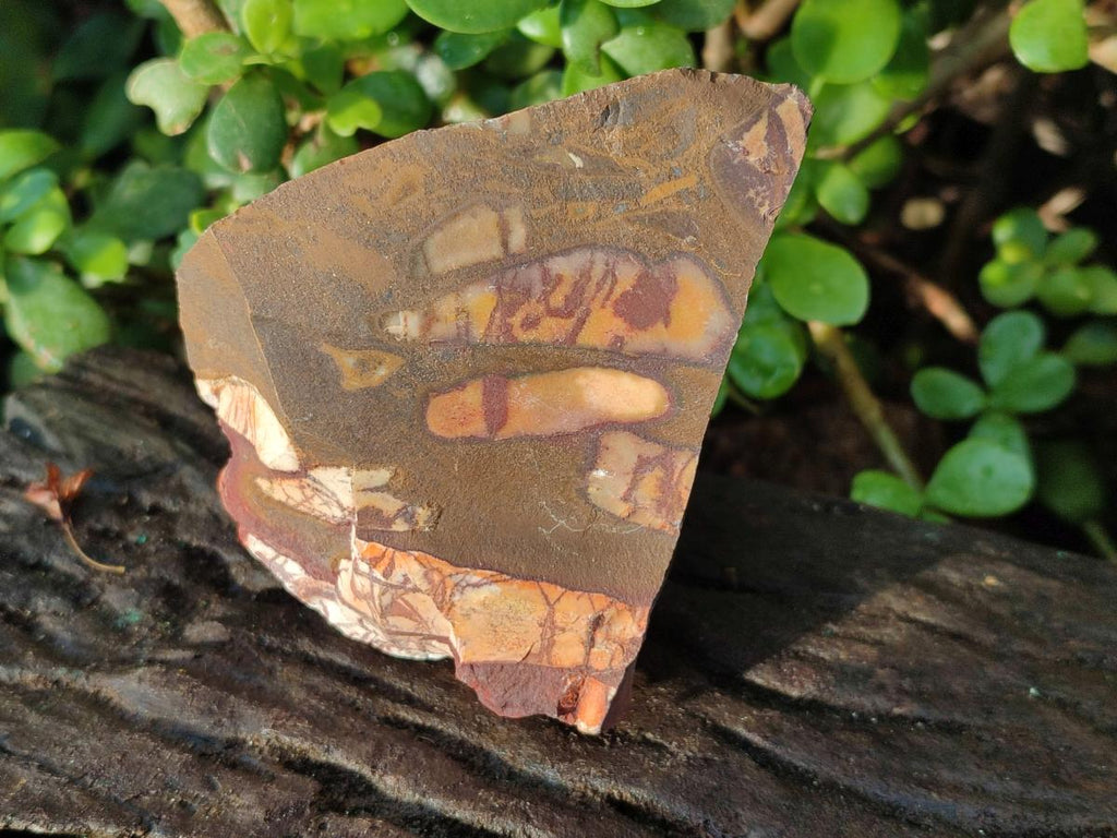 Natural Nguni Jasper Cobbed Specimens x 12 From Northern Cape, South Africa - Toprock Gemstones and Minerals 