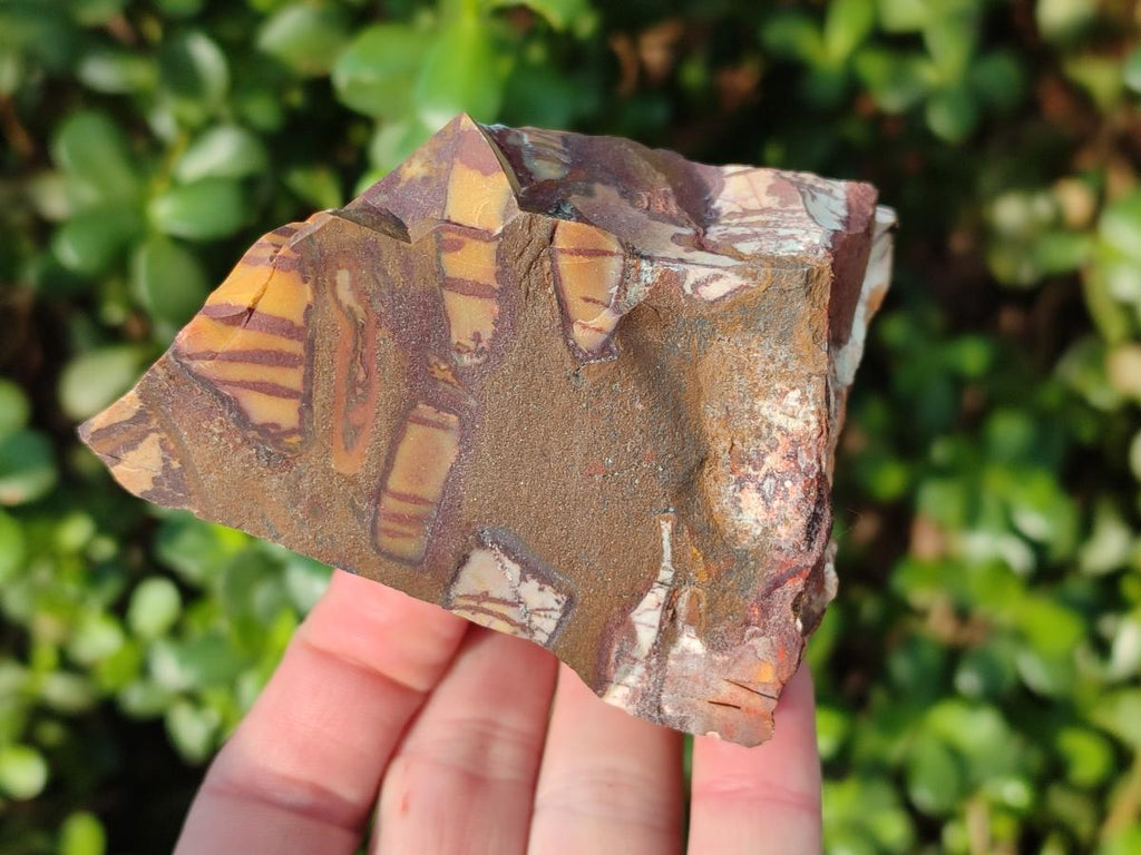 Natural Nguni Jasper Cobbed Specimens x 12 From Northern Cape, South Africa - Toprock Gemstones and Minerals 