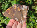 Natural Nguni Jasper Cobbed Specimens x 12 From Northern Cape, South Africa - Toprock Gemstones and Minerals 