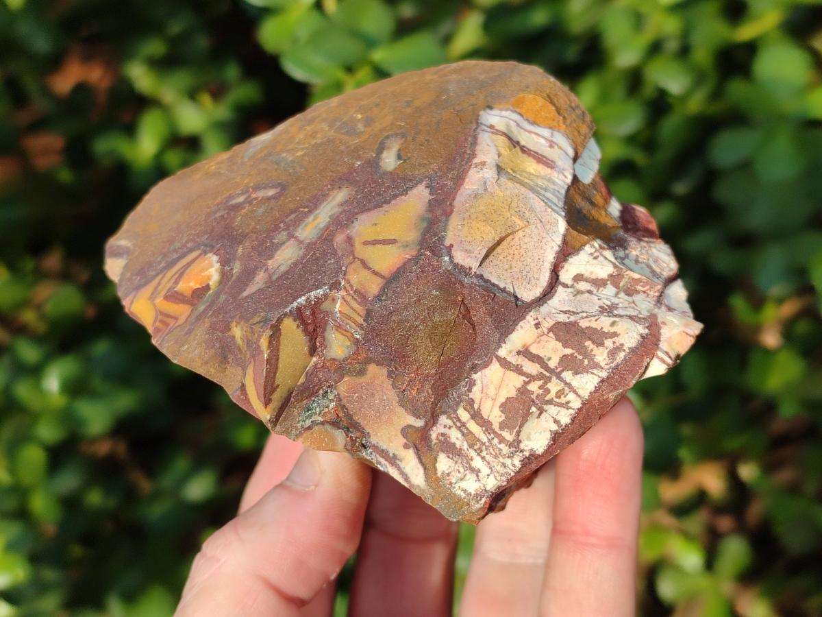 Natural Nguni Jasper Cobbed Specimens x 12 From Northern Cape, South Africa - Toprock Gemstones and Minerals 