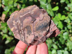 Natural Nguni Jasper Cobbed Specimens x 12 From Northern Cape, South Africa - Toprock Gemstones and Minerals 