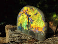 Polished Rare Purple Sunset Flash Labradorite Standing Display Pieces x 3 From Madagascar - Toprock Gemstones and Minerals 