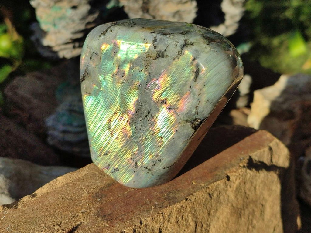 Polished Rare Purple Sunset Flash Labradorite Standing Display Pieces x 3 From Madagascar - Toprock Gemstones and Minerals 