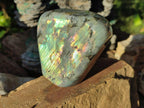 Polished Rare Purple Sunset Flash Labradorite Standing Display Pieces x 3 From Madagascar - Toprock Gemstones and Minerals 