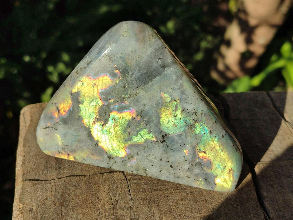 Polished Rare Purple Sunset Flash Labradorite Standing Display Pieces x 3 From Madagascar - Toprock Gemstones and Minerals 