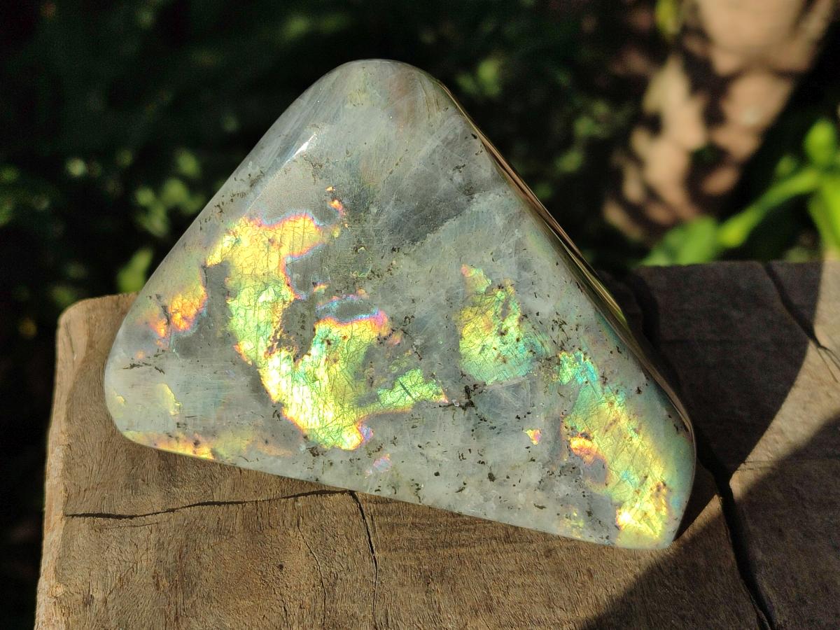 Polished Rare Purple Sunset Flash Labradorite Standing Display Pieces x 3 From Madagascar - Toprock Gemstones and Minerals 