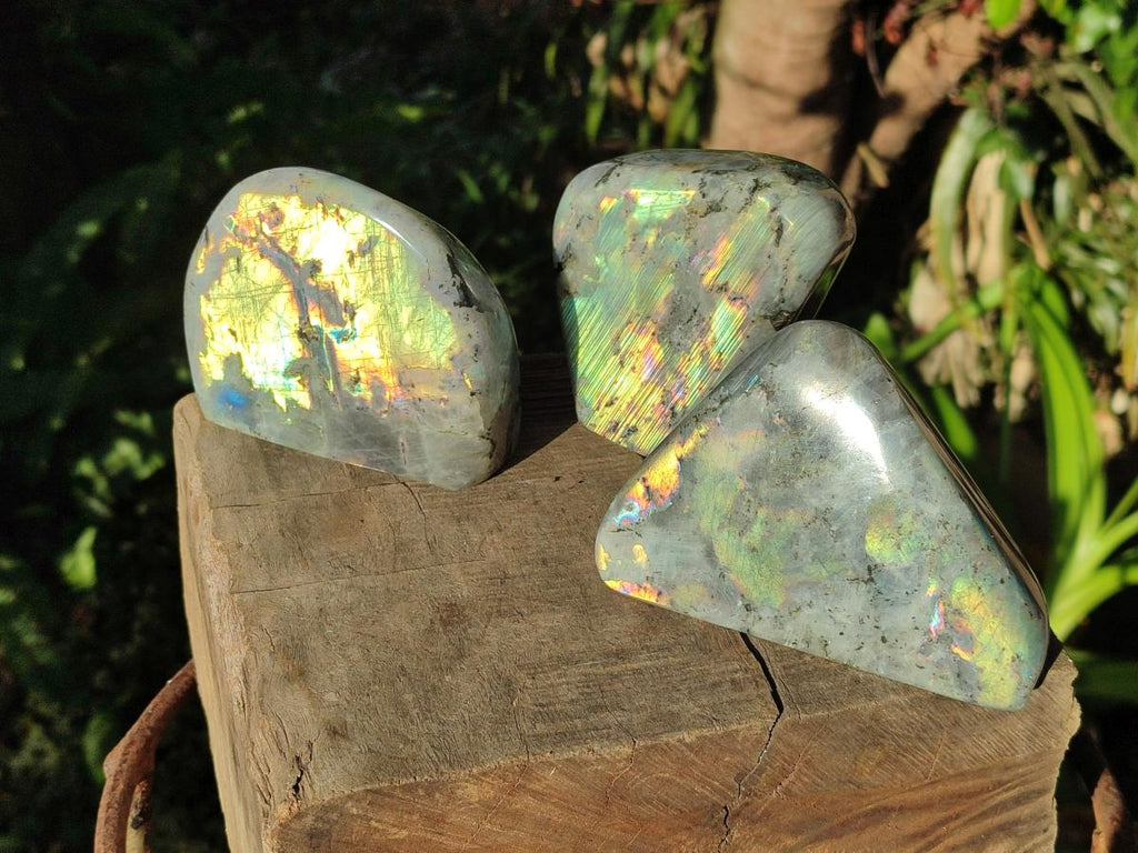 Polished Rare Purple Sunset Flash Labradorite Standing Display Pieces x 3 From Madagascar - Toprock Gemstones and Minerals 