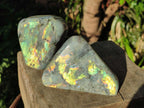 Polished Rare Purple Sunset Flash Labradorite Standing Display Pieces x 3 From Madagascar - Toprock Gemstones and Minerals 