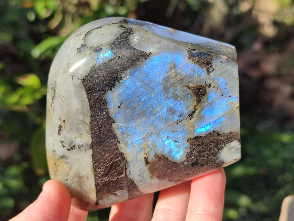 Polished Rare Purple Sunset Flash Labradorite Standing Display Pieces x 3 From Madagascar - Toprock Gemstones and Minerals 