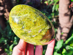 Polished Green Opal Standing Display Pieces x 2 From Betroka, Madagascar - Toprock Gemstones and Minerals 