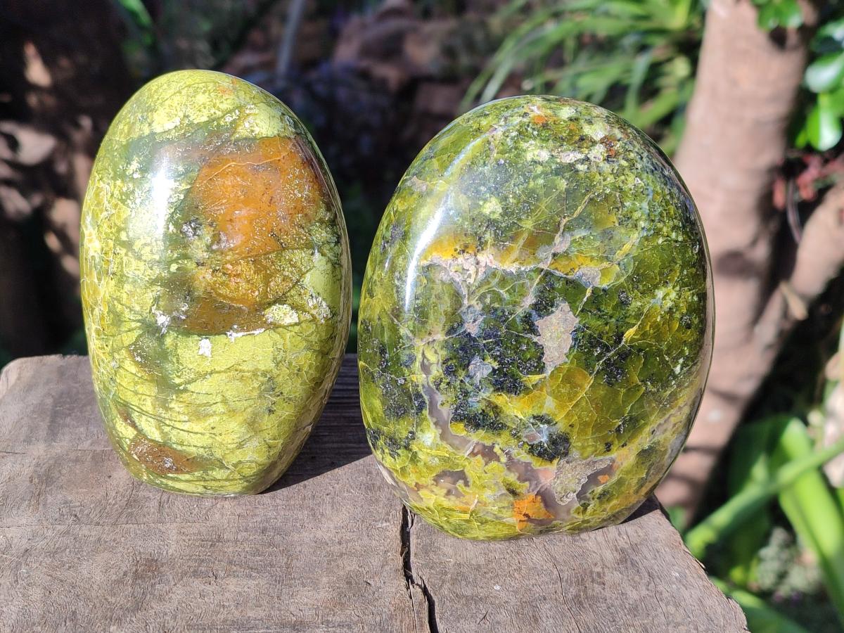 Polished Green Opal Standing Display Pieces x 2 From Betroka, Madagascar - Toprock Gemstones and Minerals 