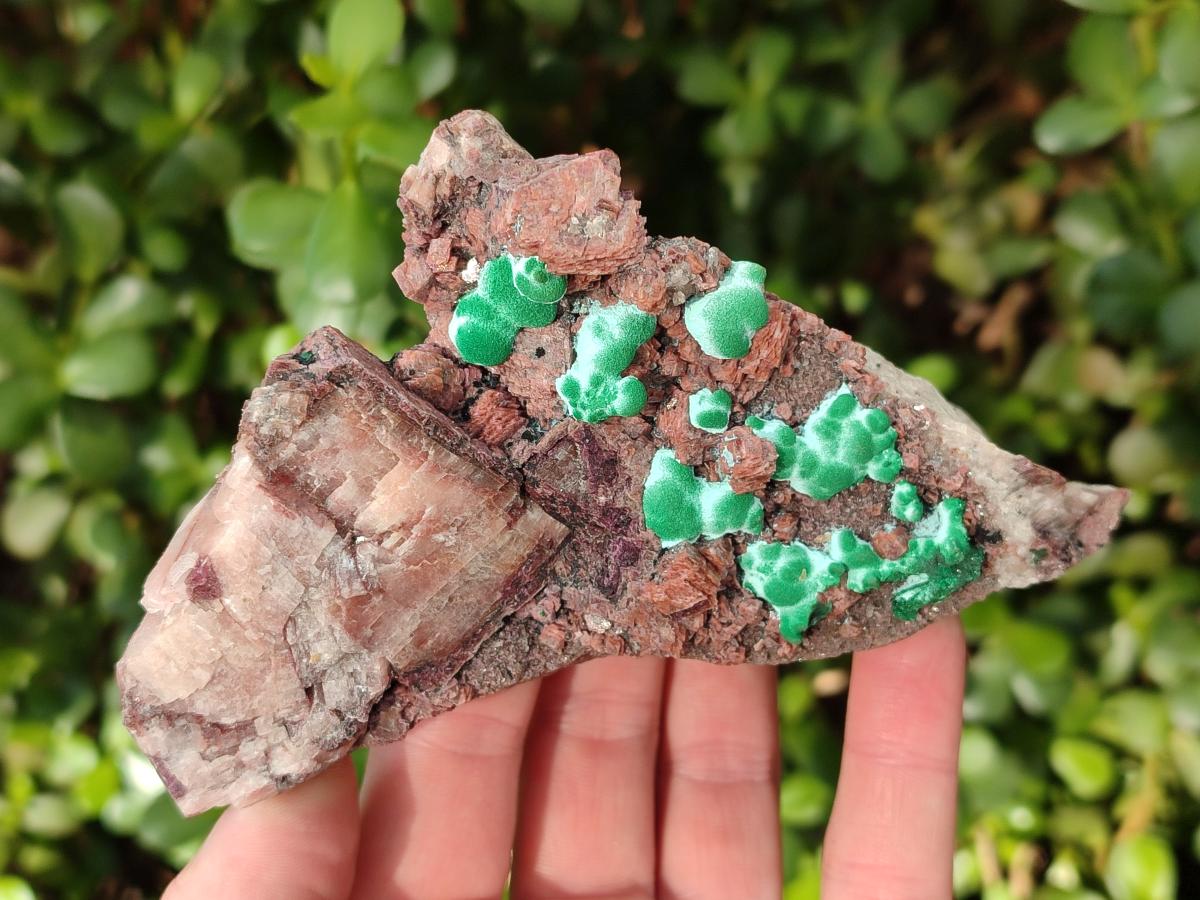 Natural Salrose Cobaltoan Dolomite Specimens with Silky Malachite Crystals x 3 From Kakanda, Congo - Toprock Gemstones and Minerals 