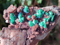 Natural Salrose Cobaltoan Dolomite Specimens with Silky Malachite Crystals x 3 From Kakanda, Congo - Toprock Gemstones and Minerals 