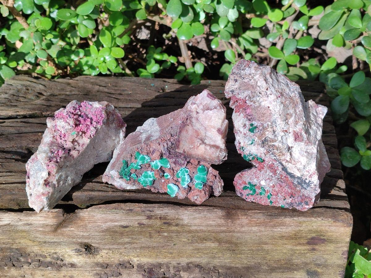 Natural Salrose Cobaltoan Dolomite Specimens with Silky Malachite Crystals x 3 From Kakanda, Congo - Toprock Gemstones and Minerals 