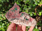Natural Salrose Cobaltoan Dolomite Specimens with Silky Malachite Crystals x 3 From Kakanda, Congo - Toprock Gemstones and Minerals 