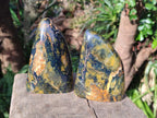 Polished Nellite Tigers Eye Standing Display Pieces x 2 From Prieska, South Africa - Toprock Gemstones and Minerals 