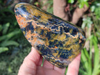 Polished Nellite Tigers Eye Standing Display Pieces x 2 From Prieska, South Africa - Toprock Gemstones and Minerals 