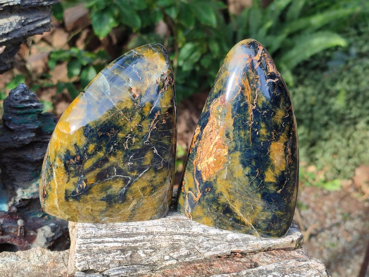 Polished Nellite Tigers Eye Standing Display Pieces x 2 From Prieska, South Africa - Toprock Gemstones and Minerals 