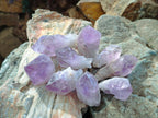 Natural Jacaranda Amethyst Single Crystals x 35 From Mumbwa, Zambia - Toprock Gemstones and Minerals 