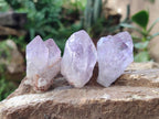 Natural Jacaranda Amethyst Single Crystals x 35 From Mumbwa, Zambia - Toprock Gemstones and Minerals 