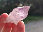 Natural Jacaranda Amethyst Single Crystals x 35 From Mumbwa, Zambia - Toprock Gemstones and Minerals 