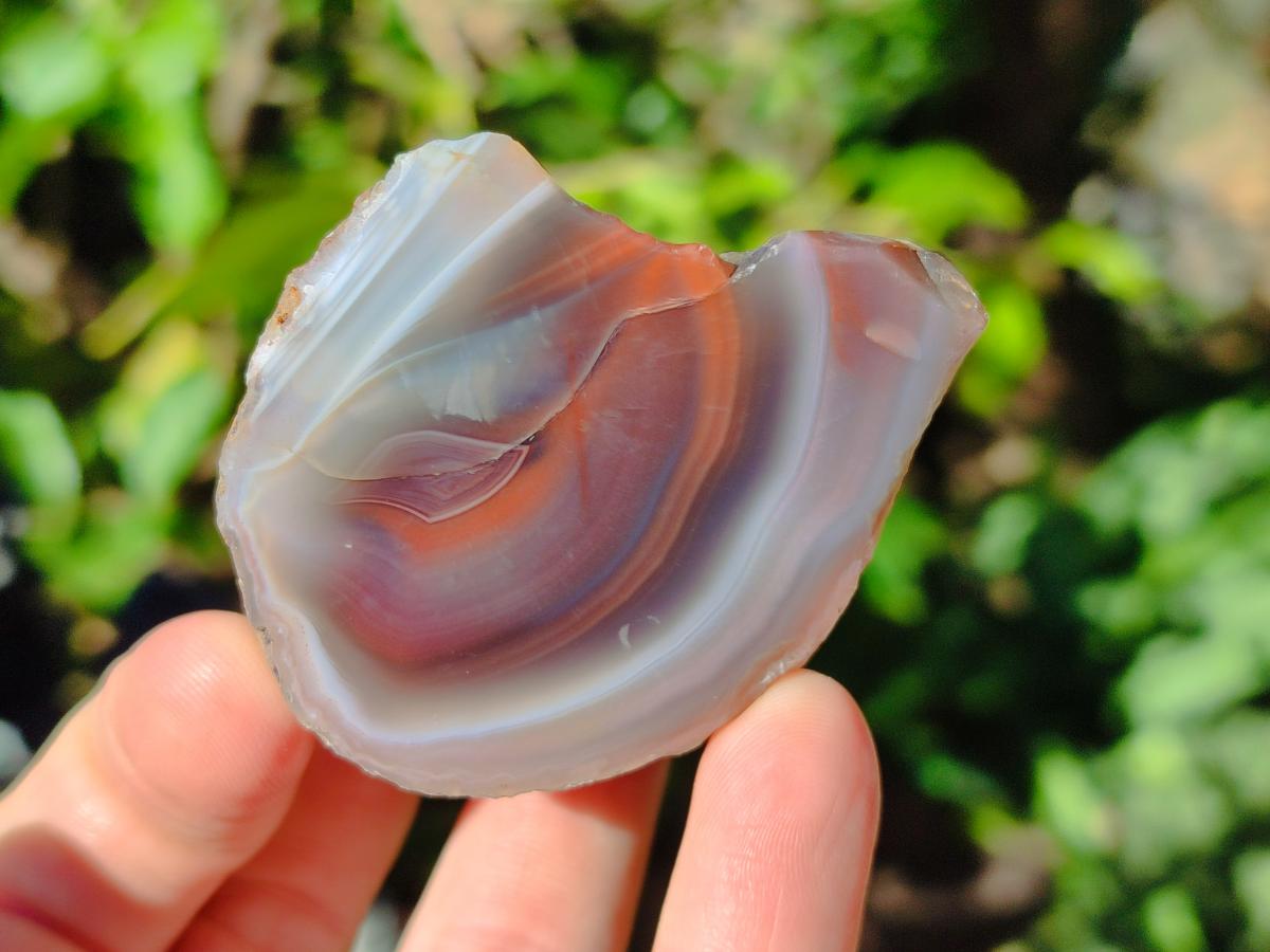Polished One Side Red Shashe River Agate Nodules x 24 From Shashe River, Zimbabwe - Toprock Gemstones and Minerals 