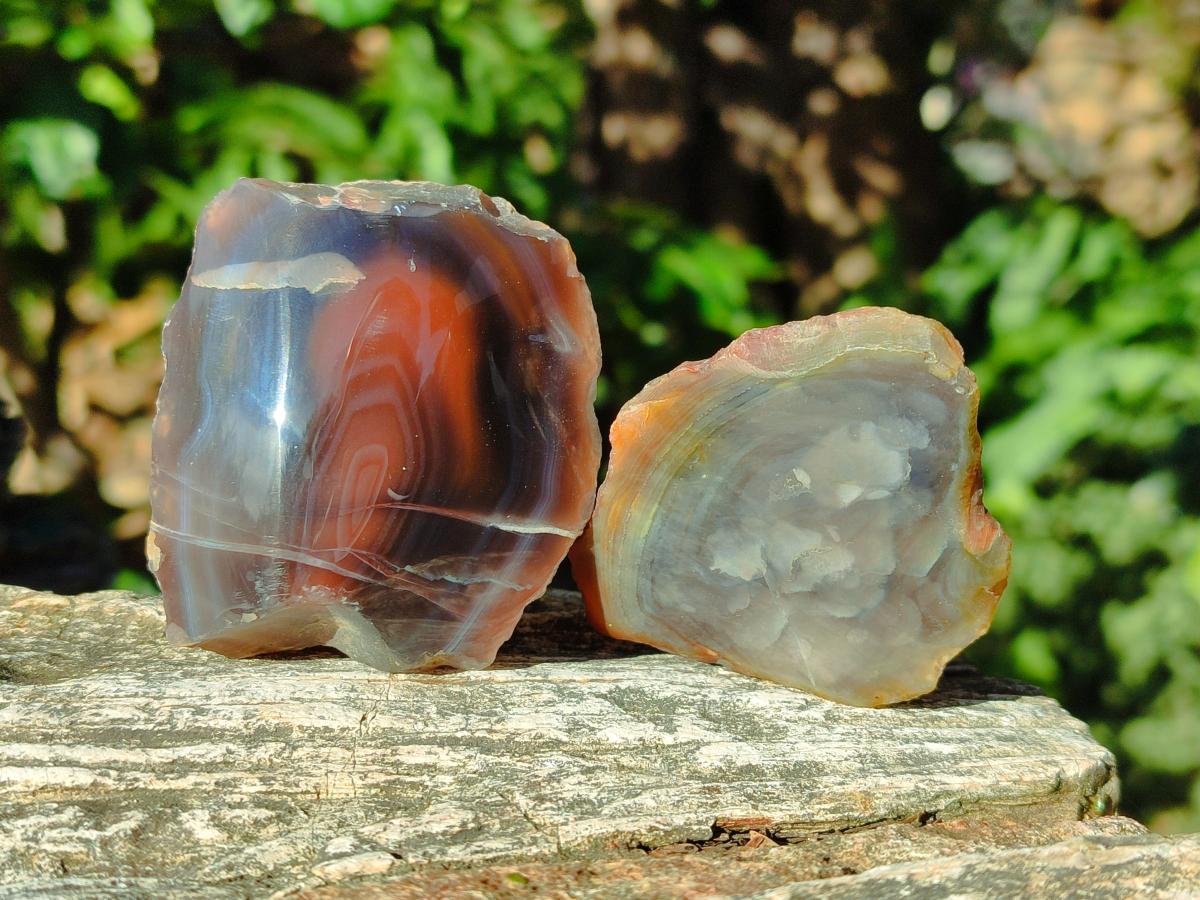 Polished One Side Red Shashe River Agate Nodules x 24 From Shashe River, Zimbabwe - Toprock Gemstones and Minerals 