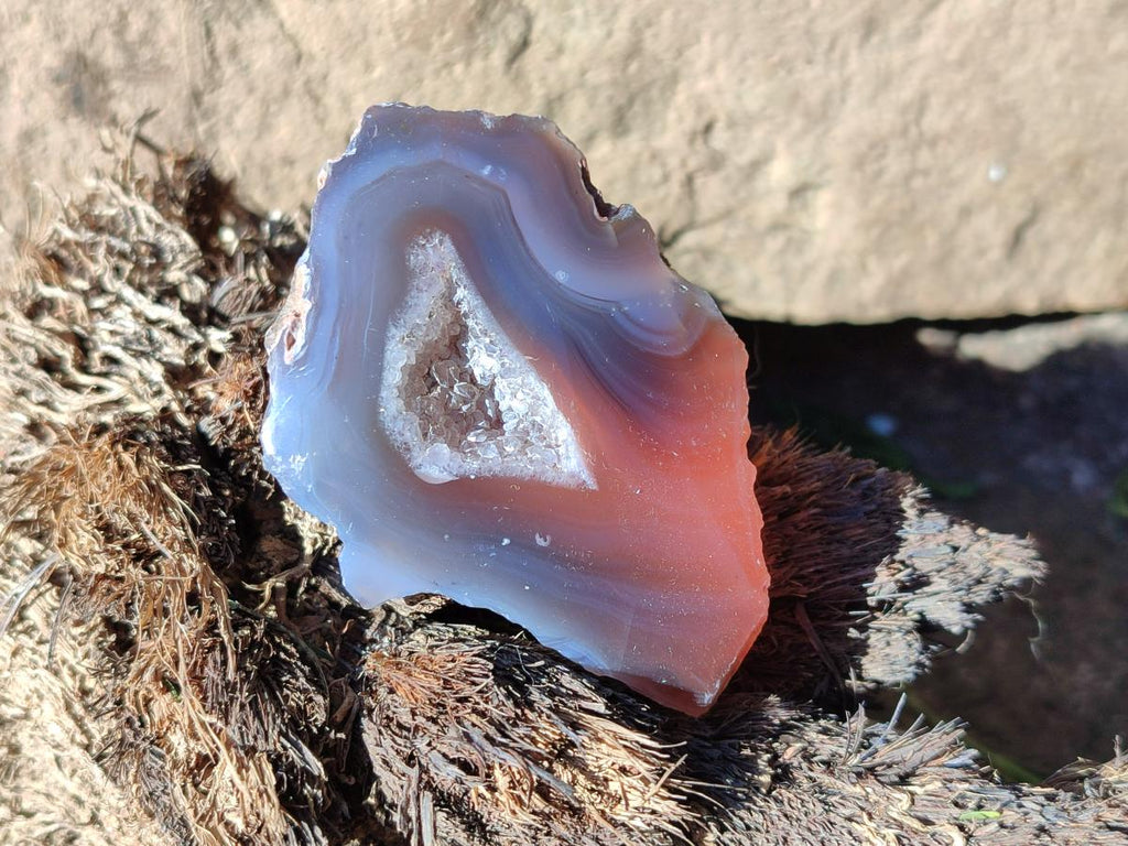 Polished One Side Red Shashe River Agate Nodules x 24 From Shashe River, Zimbabwe - Toprock Gemstones and Minerals 