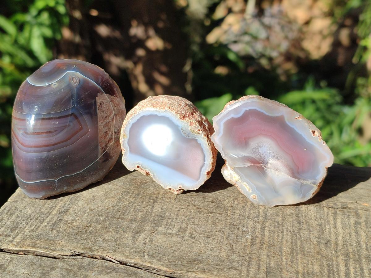 Polished One Side Red Shashe River Agate Nodules x 24 From Shashe River, Zimbabwe - Toprock Gemstones and Minerals 