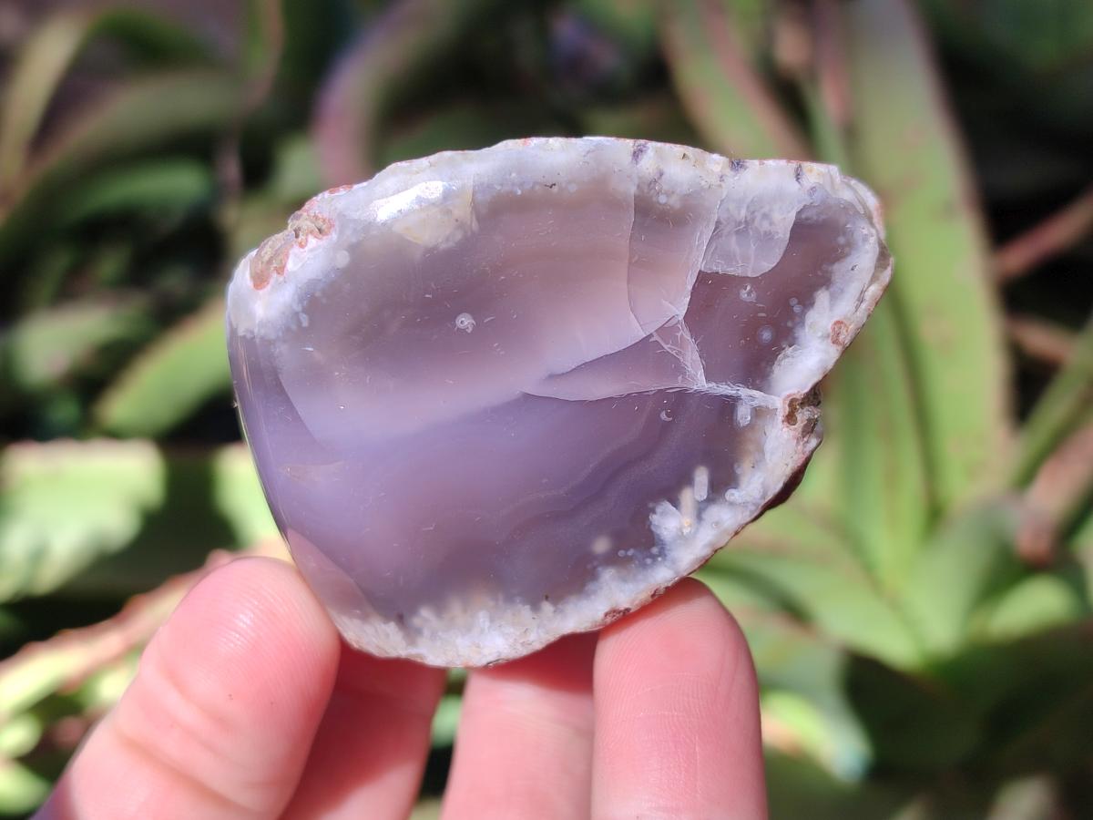 Polished One Side Red Shashe River Agate Nodules x 24 From Shashe River, Zimbabwe - Toprock Gemstones and Minerals 