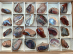 Polished One Side Red Shashe River Agate Nodules x 24 From Shashe River, Zimbabwe - Toprock Gemstones and Minerals 