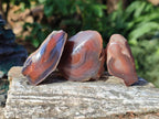 Polished One Side Red Shashe River Agate Nodules x 24 From Shashe River, Zimbabwe - Toprock Gemstones and Minerals 