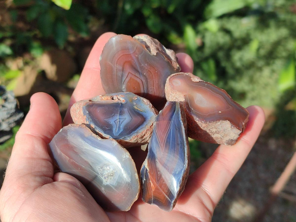 Polished One Side Red Shashe River Agate Nodules x 24 From Shashe River, Zimbabwe - Toprock Gemstones and Minerals 