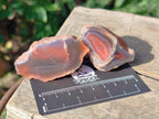 Polished One Side Red Shashe River Agate Nodules x 24 From Shashe River, Zimbabwe - Toprock Gemstones and Minerals 
