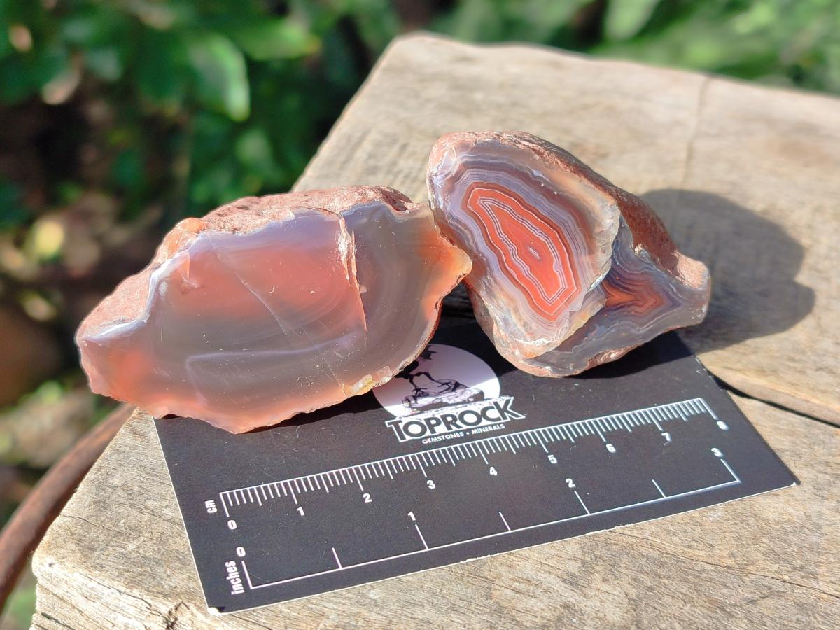Polished One Side Red Shashe River Agate Nodules x 24 From Shashe River, Zimbabwe - Toprock Gemstones and Minerals 