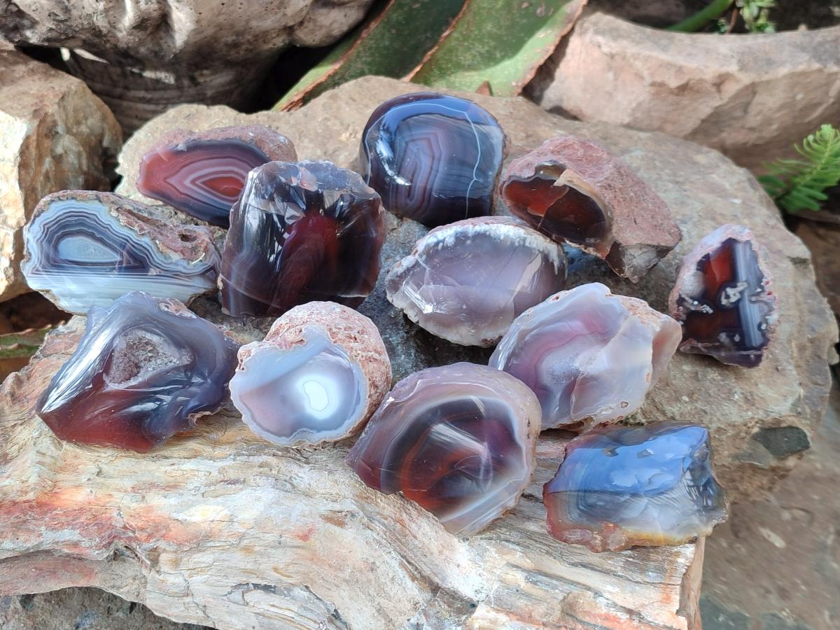 Polished One Side Red Shashe River Agate Nodules x 24 From Shashe River, Zimbabwe - Toprock Gemstones and Minerals 