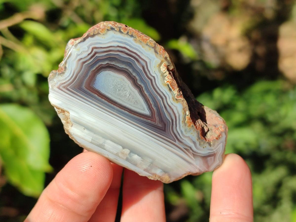 Polished One Side Red Shashe River Agate Nodules x 24 From Shashe River, Zimbabwe - Toprock Gemstones and Minerals 
