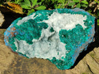 Natural Large Dioptase on Dolomite Specimen x 1 From Kimpese, Congo - Toprock Gemstones and Minerals 