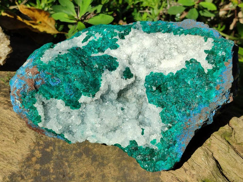 Natural Large Dioptase on Dolomite Specimen x 1 From Kimpese, Congo - Toprock Gemstones and Minerals 