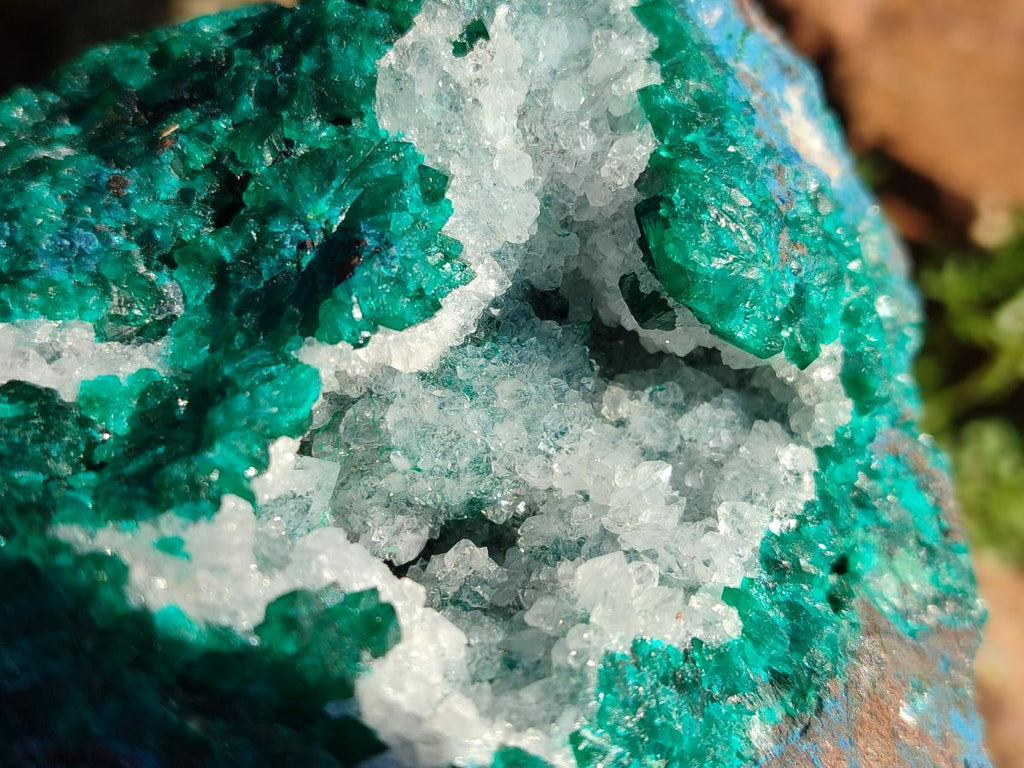 Natural Large Dioptase on Dolomite Specimen x 1 From Kimpese, Congo - Toprock Gemstones and Minerals 