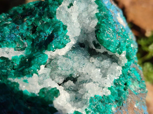 Natural Large Dioptase on Dolomite Specimen x 1 From Kimpese, Congo - Toprock Gemstones and Minerals 