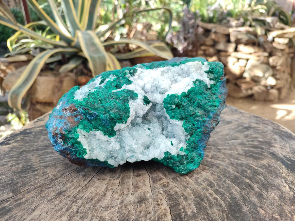 Natural Large Dioptase on Dolomite Specimen x 1 From Kimpese, Congo - Toprock Gemstones and Minerals 