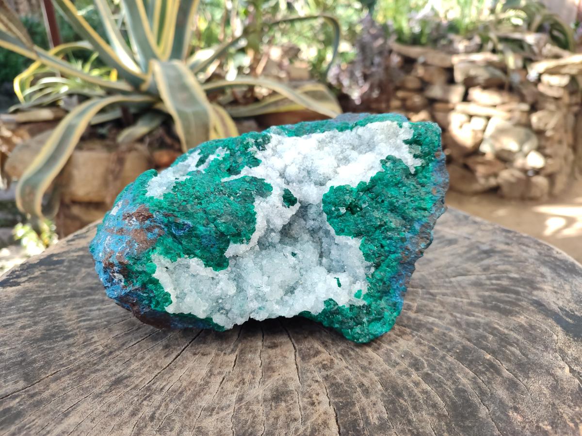 Natural Large Dioptase on Dolomite Specimen x 1 From Kimpese, Congo - Toprock Gemstones and Minerals 