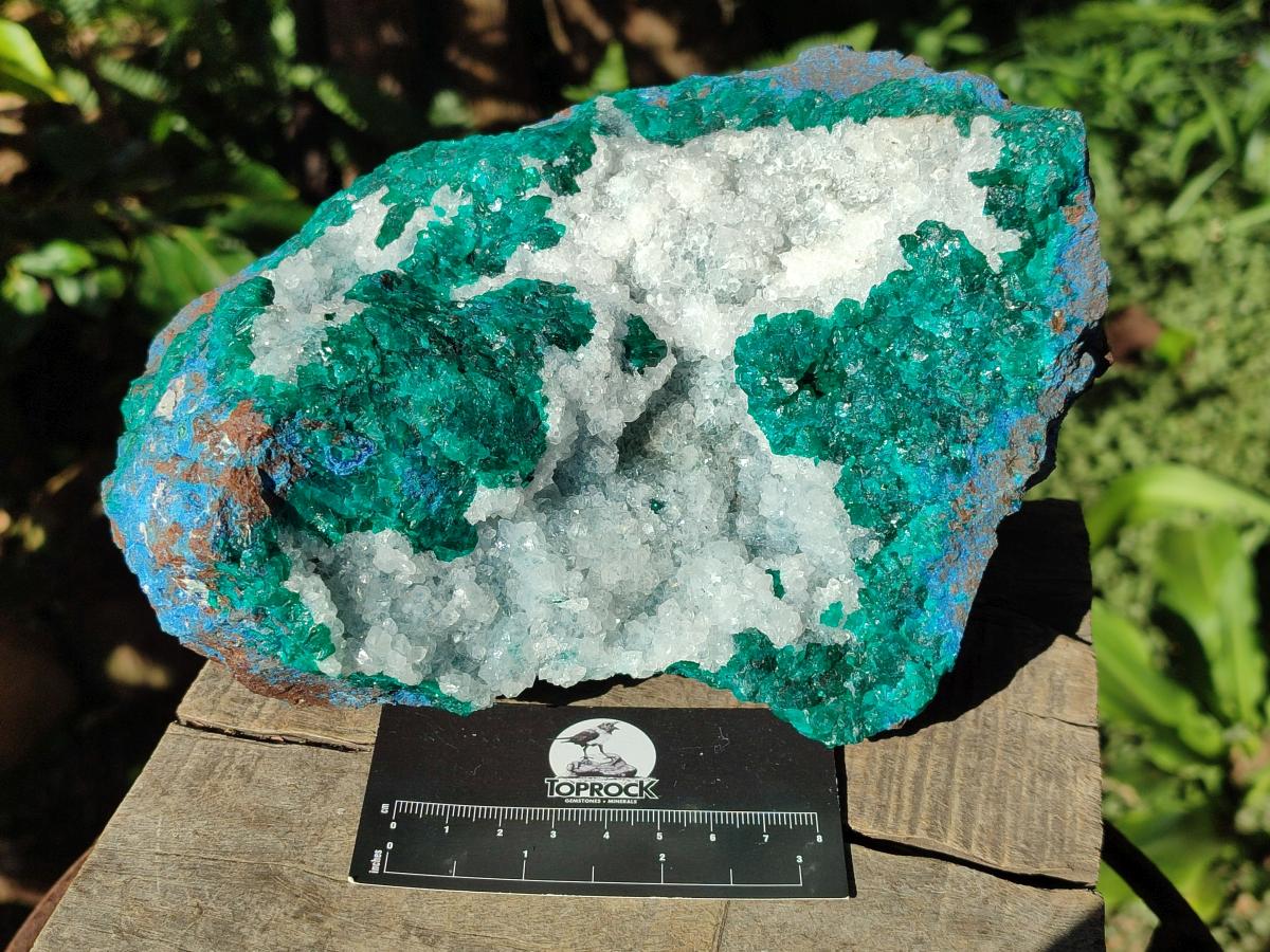 Natural Large Dioptase on Dolomite Specimen x 1 From Kimpese, Congo - Toprock Gemstones and Minerals 