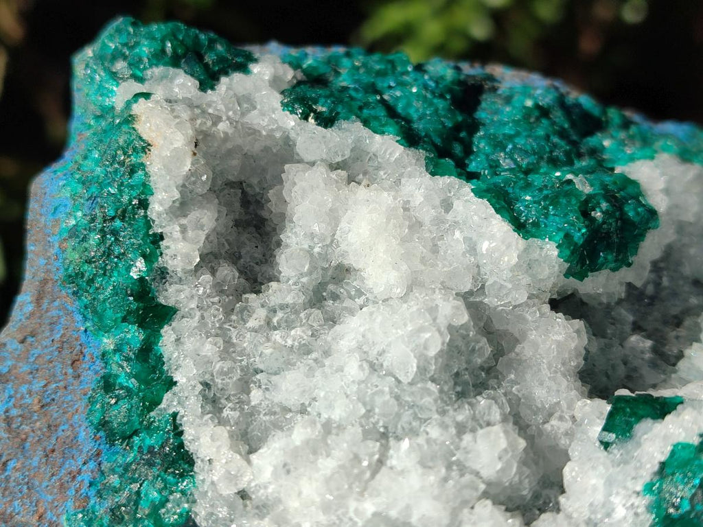 Natural Large Dioptase on Dolomite Specimen x 1 From Kimpese, Congo - Toprock Gemstones and Minerals 