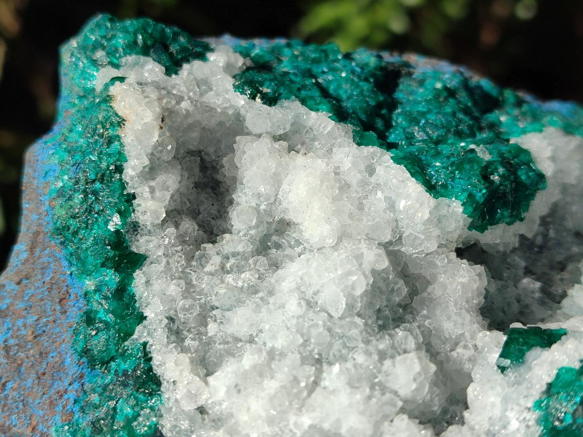 Natural Large Dioptase on Dolomite Specimen x 1 From Kimpese, Congo - Toprock Gemstones and Minerals 