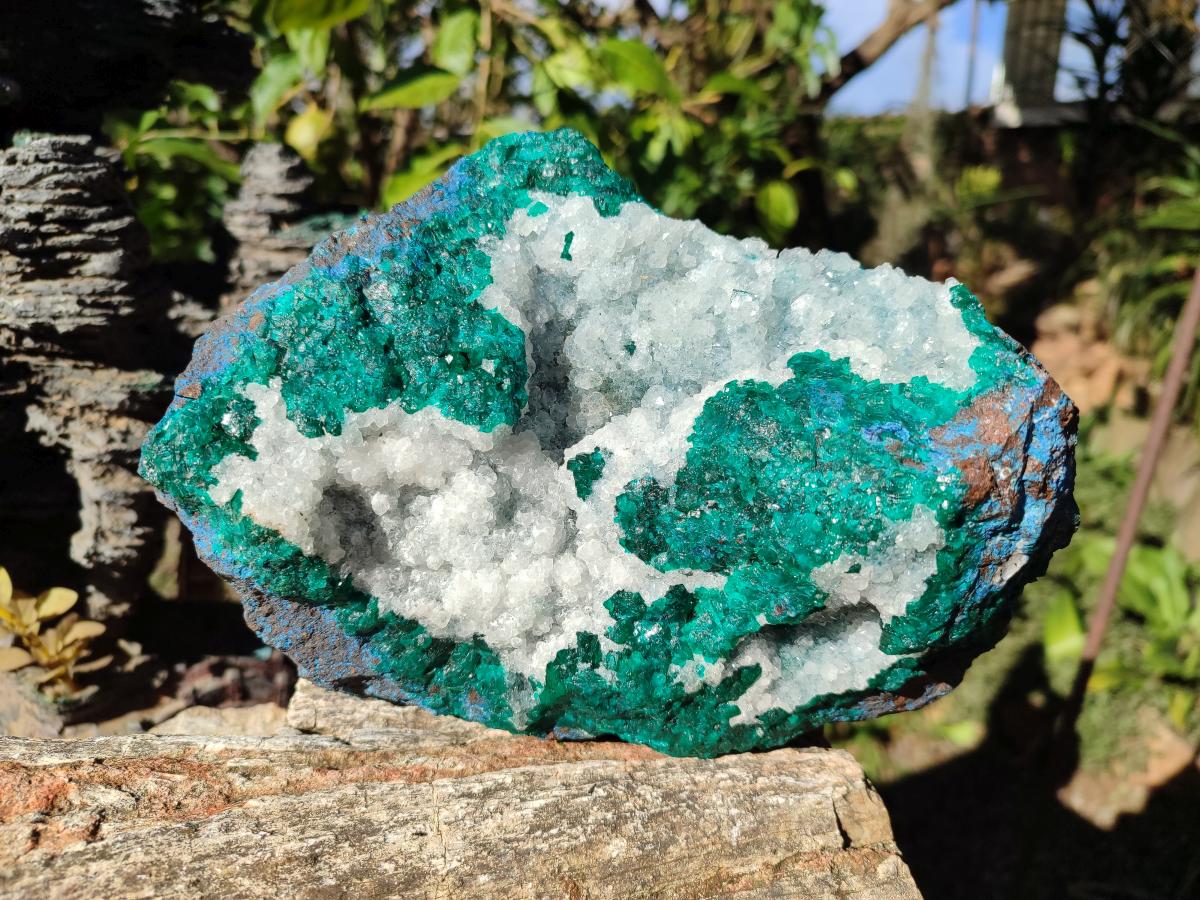 Natural Large Dioptase on Dolomite Specimen x 1 From Kimpese, Congo - Toprock Gemstones and Minerals 